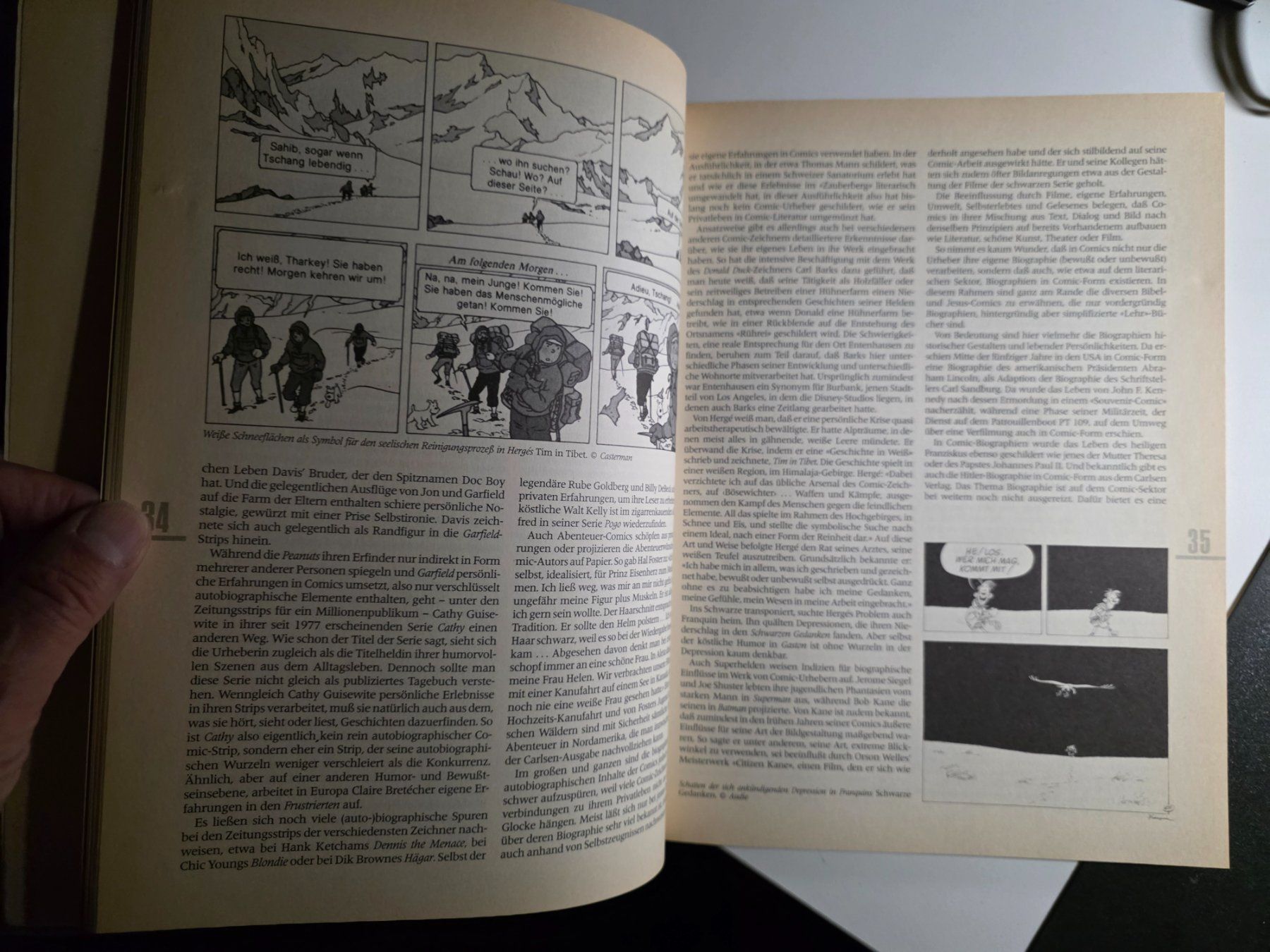 Fumetti: Comic Jahrbuch 1991 - Carlsen - Andreas C. Knigge – Usato da Walterswil BE venduto da Lonitti 6