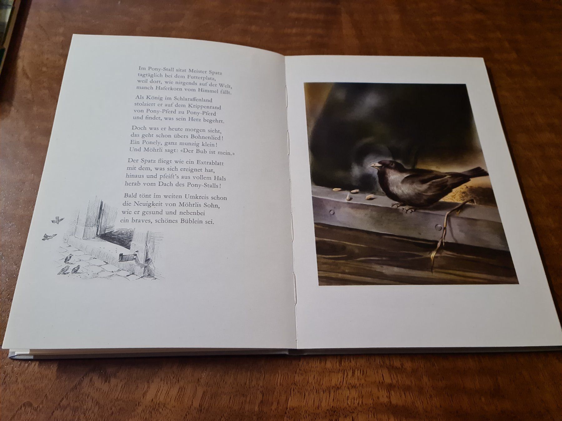 Libri: Die Geschichte vom Ponely Hüf – Usato da Erstfeld venduto da Uhu1980 2