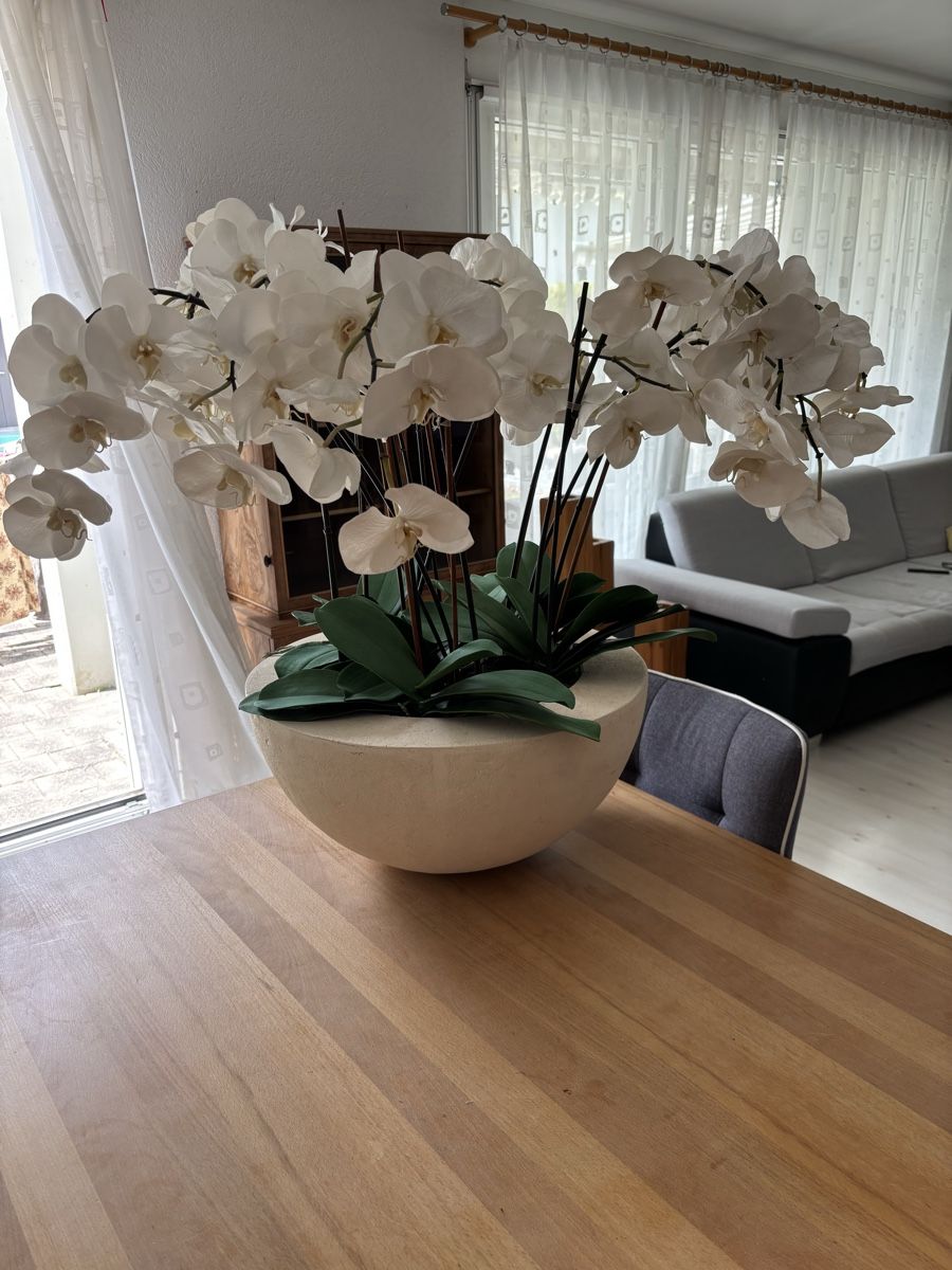 Tutte le decorazioni: Künstliche Orchidee Durchmesser 50cm Höhe 80cm – Usato da Fällanden venduto da Ustupsi 2
