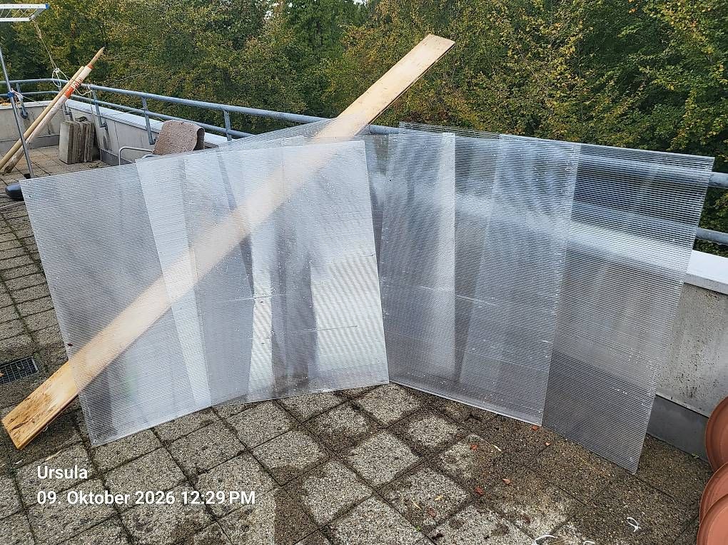 Piatti di portata: Polycarbonat Platten 8 Stück  – Usato da Rüti ZH venduto da poopey