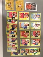 Panini WM 2022 Sticker Sammlung 25 Stk guter Zustand