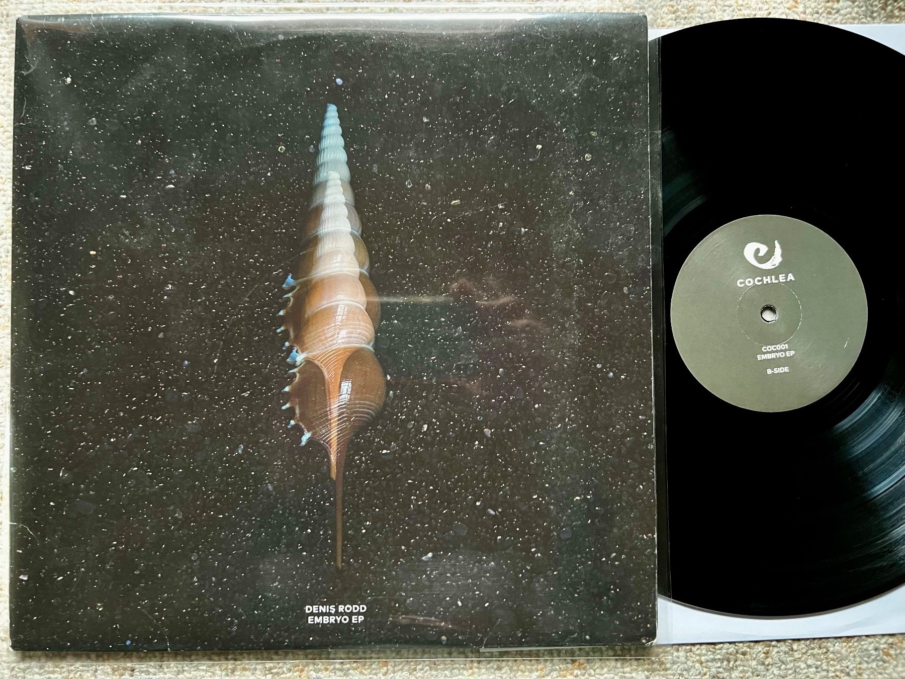 Dischi in vinile: LP Deep Techno Denis Rodd – Embryo LP GEWASCHEN – Usato da Unterseen venduto da vinylmore