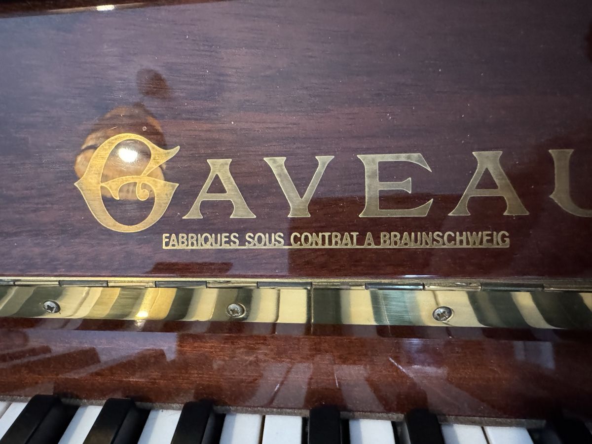 Musikinstrumente: Gaveau Klavier Paris 1847 – Gebraucht aus Fislisbach von chicane92 7