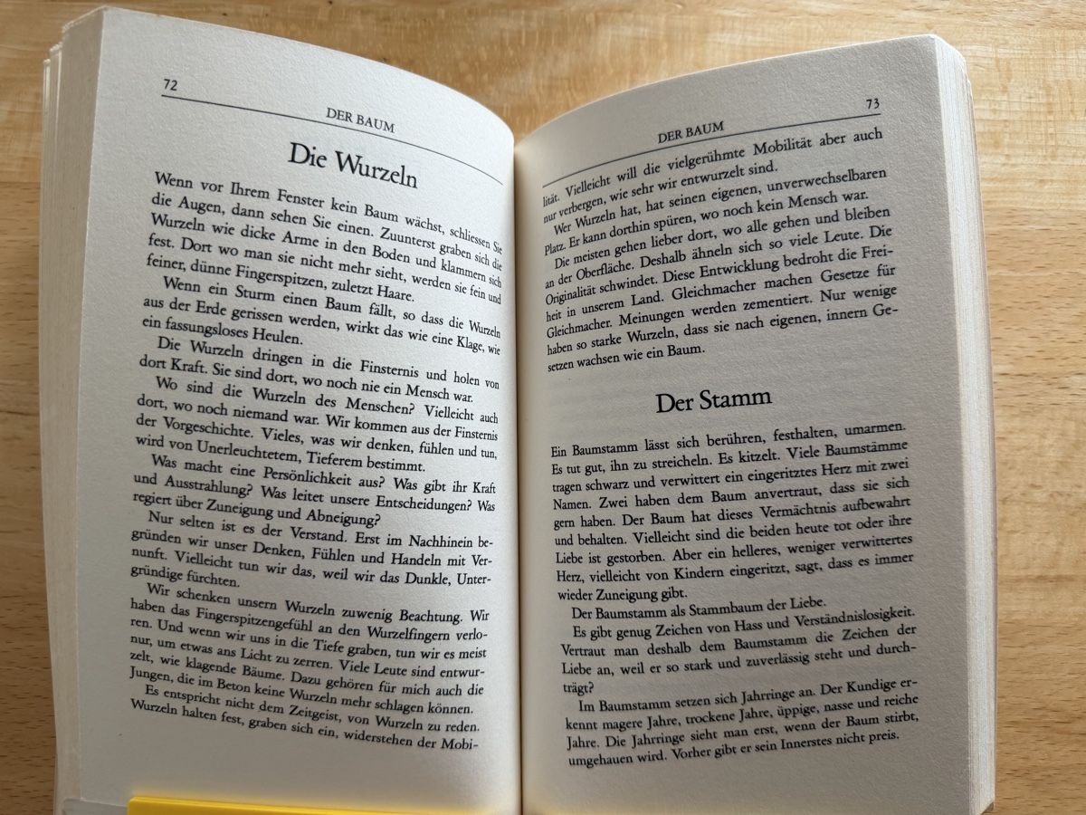 Livres: Frühstücke - Andreas Urweider – D'occasion à Schwarzenburg par Michellu 7