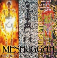 Meshuggah - Destr...