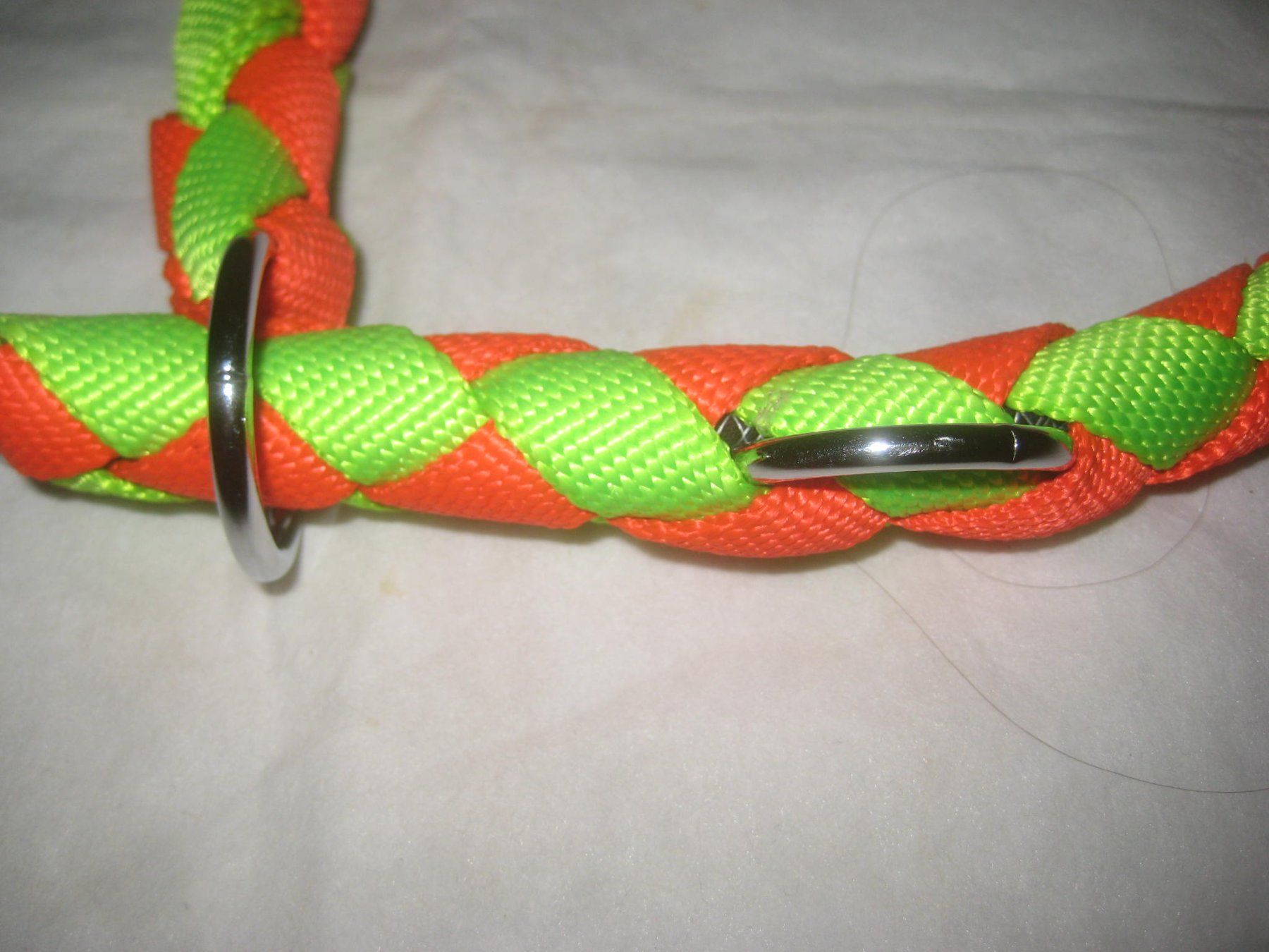 Leine & Halsband: HUNDE   HALSBAND – Neu (gemäss Beschreibung) aus Uster von flocke1 2