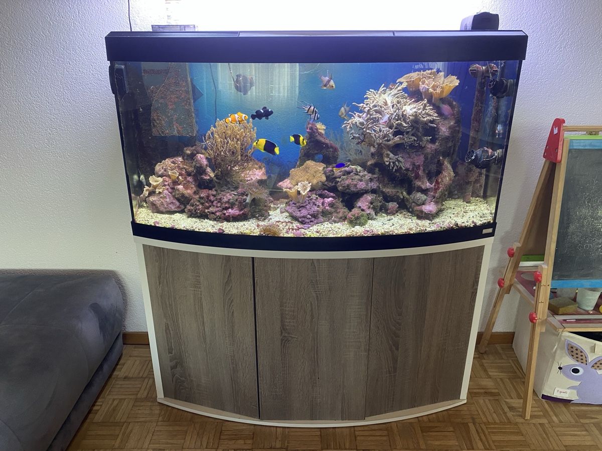 Aquarium: Aquarium / Meerwasseraquarium – Gebraucht aus Selzach von MK_83