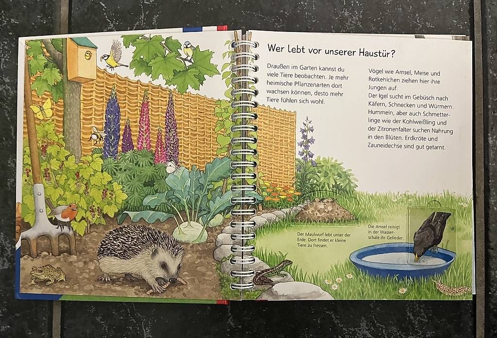 Libri: Ravensburger Kinderbuch: Tiere bei uns – Usato da Kirchberg BE venduto da qualle01 1