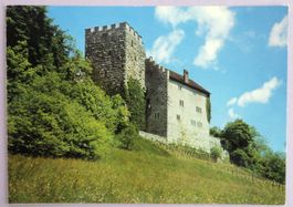 Schloss Habsburg bei Brugg