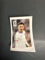 Sammelbild Antonee Robinson USA 