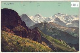 Schynige Platte