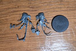 Warhammer Age of Sigmar Spirit Torment