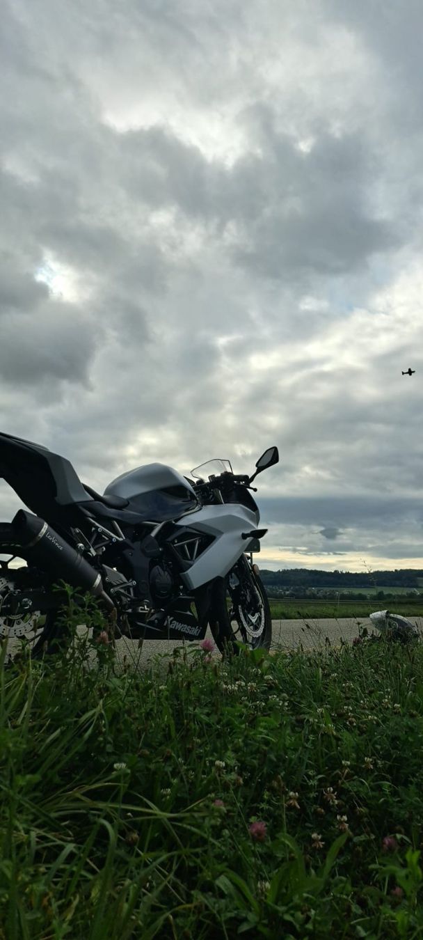 Kawasaki Strasse: Motorrad Kawasaki Ninja 125 – Gebraucht aus Leuzigen von Baspi0 1