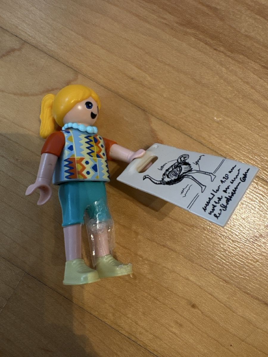 Playmobil Giocattoli: Playmobil Wiltopia Strauss mit Eiern und Figuren – Usato da Nottwil venduto da wasserlufterde 1