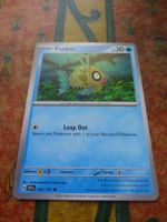 POKEMON  Feebas  H  SSP EN  041/191  HP30  2024