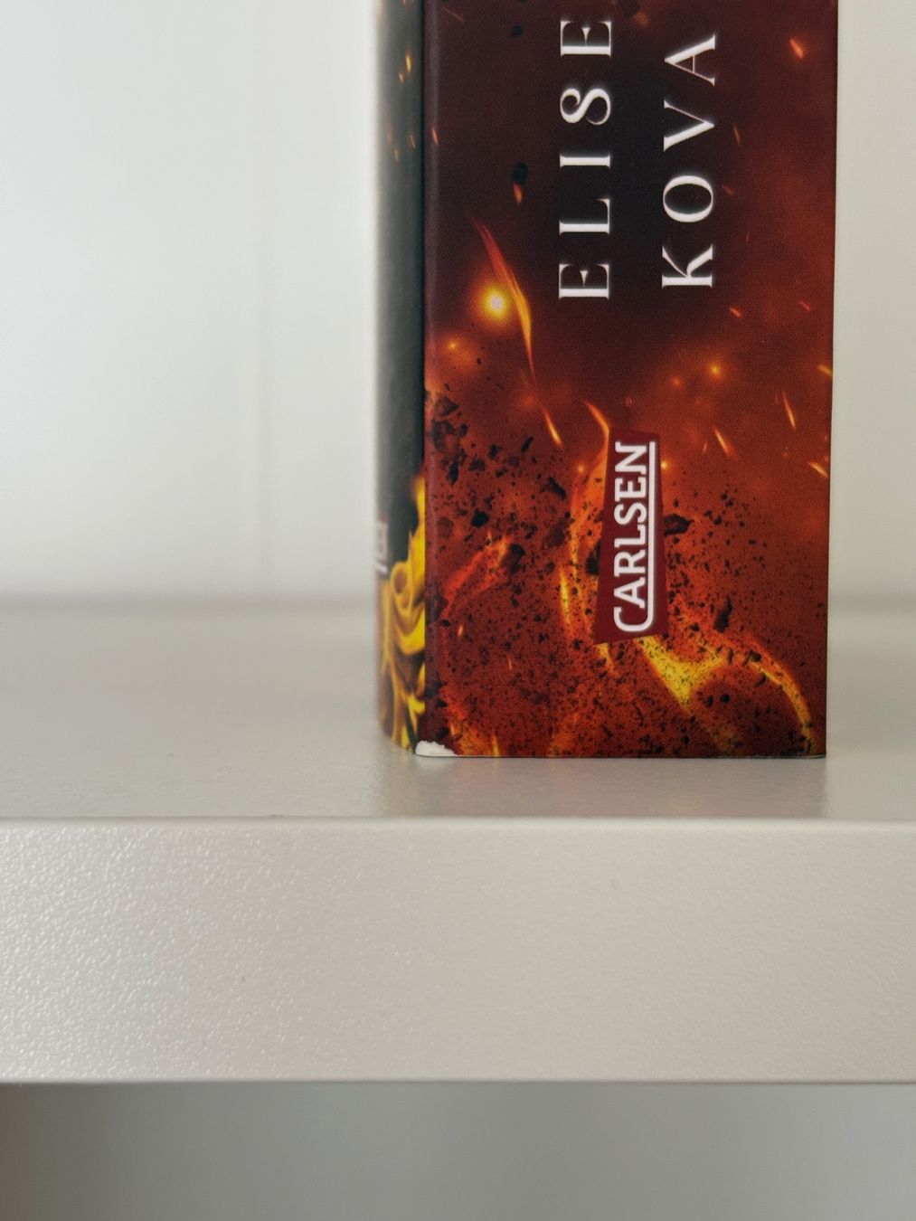 Libri: Fire Fallen - Elise Kova – Nuovo (secondo la descrizione) da Steffisburg venduto da elsa.catalina 3