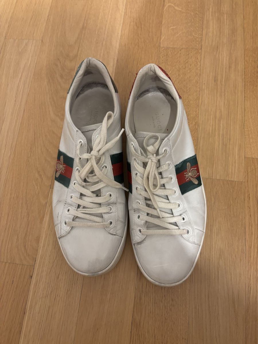 Scarpe da donna: Gucci ace 40 – Usato da Zürich venduto da poq_jg82