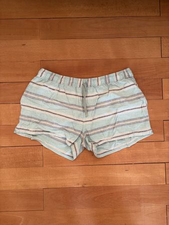 Patagonia Shorts