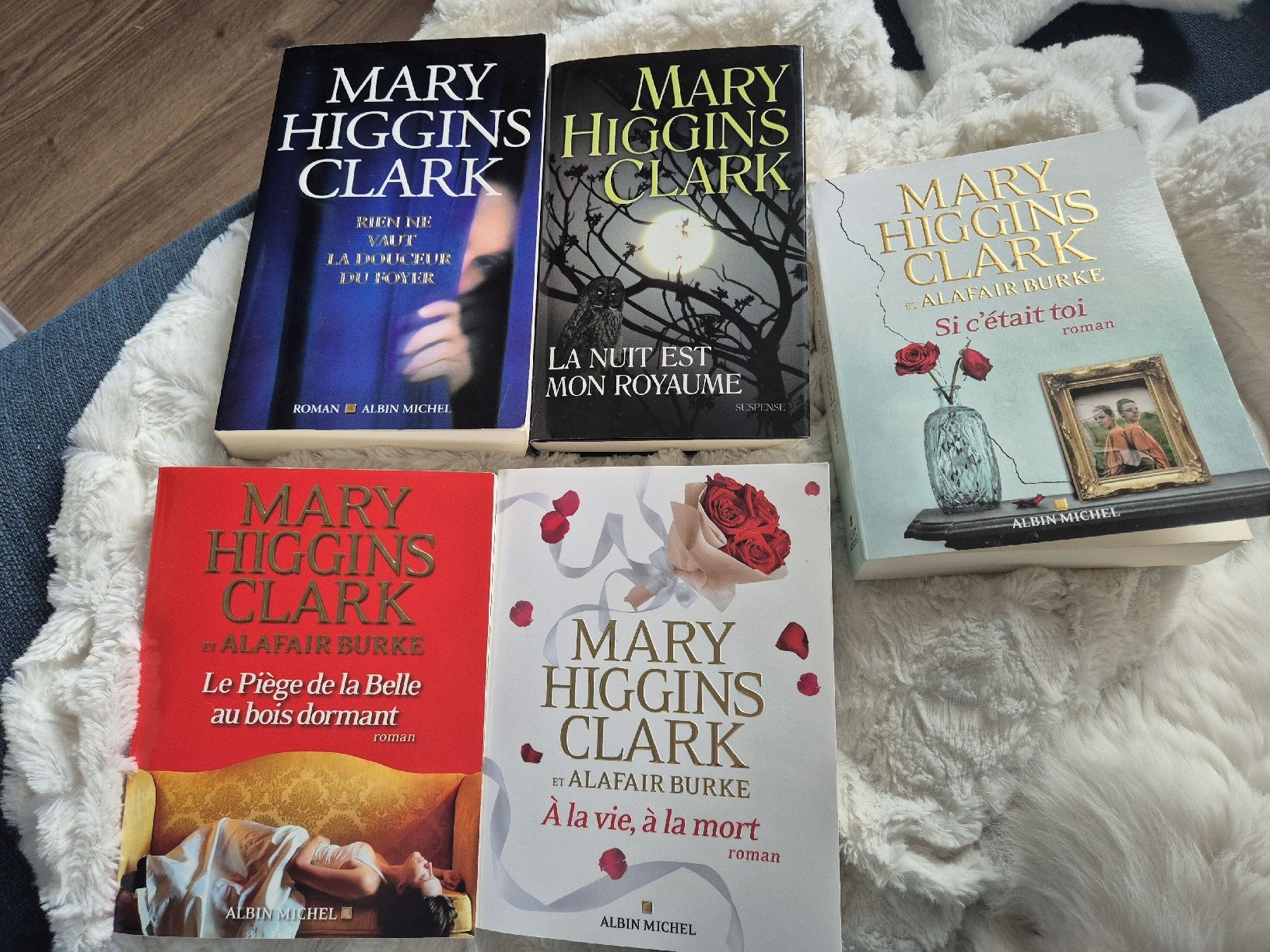 Libri: Lot de 9 Romans de Mary Higgins Clark – Usato da Courfaivre venduto da LRolle 3