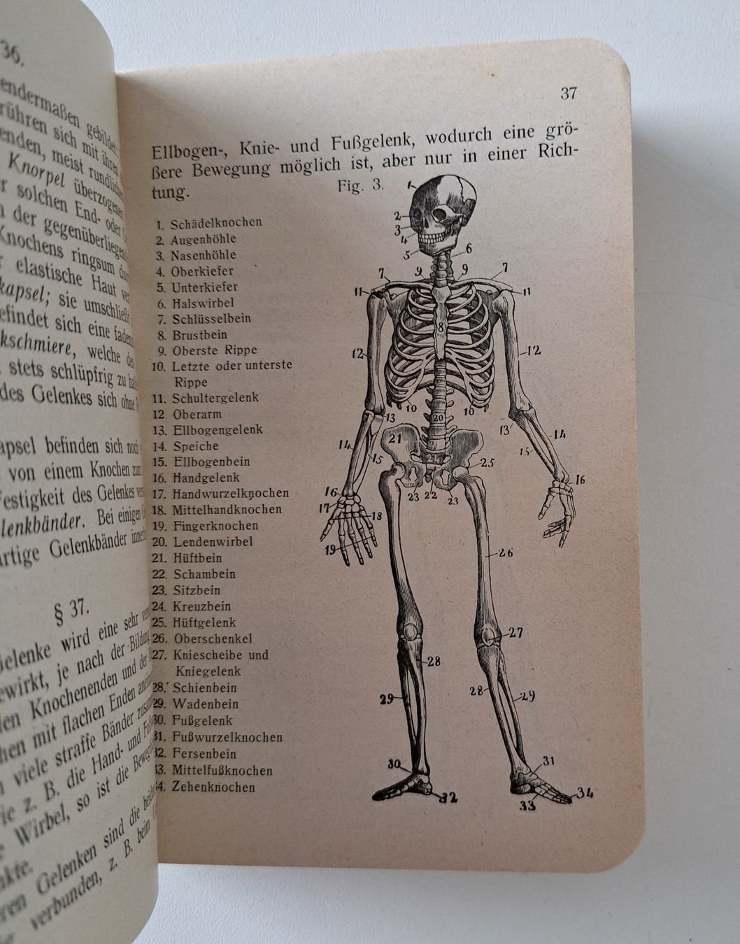 Libri: Schweizer Armee Lehrbuch Sanitätsmannschaft, 1915 – Usato da Langendorf venduto da thesi246 3