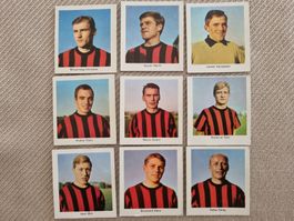Fussballspieler 1967/68 ,  Schweizer Club: Young Fellows