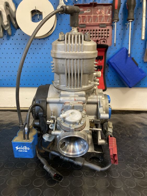 Go-Kart: IAME X30 SENIOR – Usato da Quartino venduto da James27 2