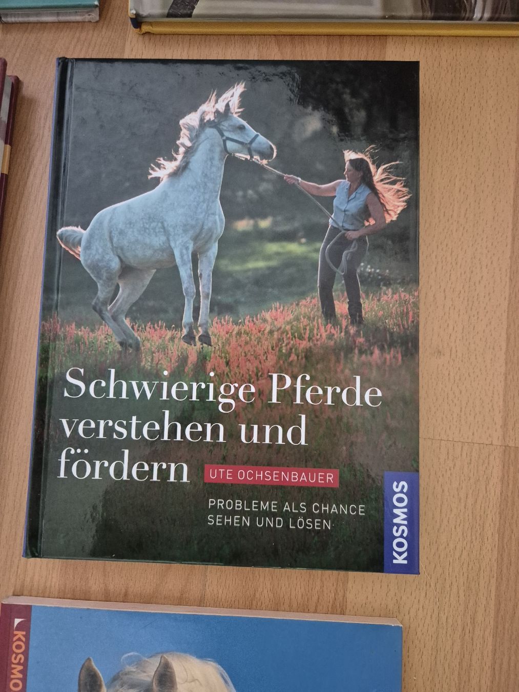 Briglie & Cavezze: Pferdefachbuch "Schwierige Pferde verstehen und fördern" – Usato da Meggen venduto da Orrinka20