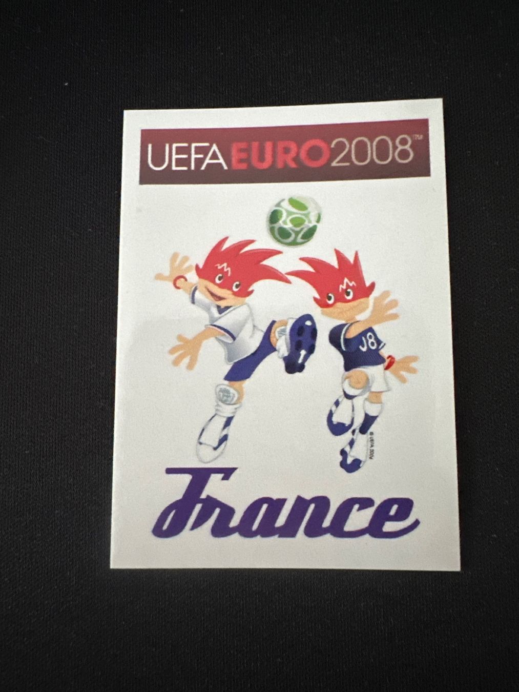 Panini Carte collezionabili: Panini UEFA EM 2008 Sticker - Nr. 332 – Usato da Sulz AG venduto da DealWerk