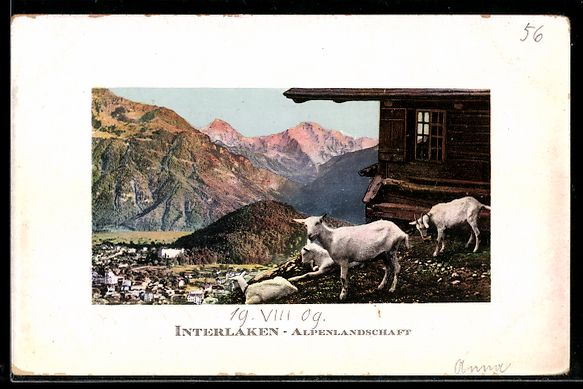 Cartoline postali: AK Interlaken, Alpenlandschaft – Usato da Berlin venduto da bartko-reher