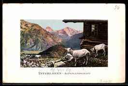 AK Interlaken, Alpenlandschaft