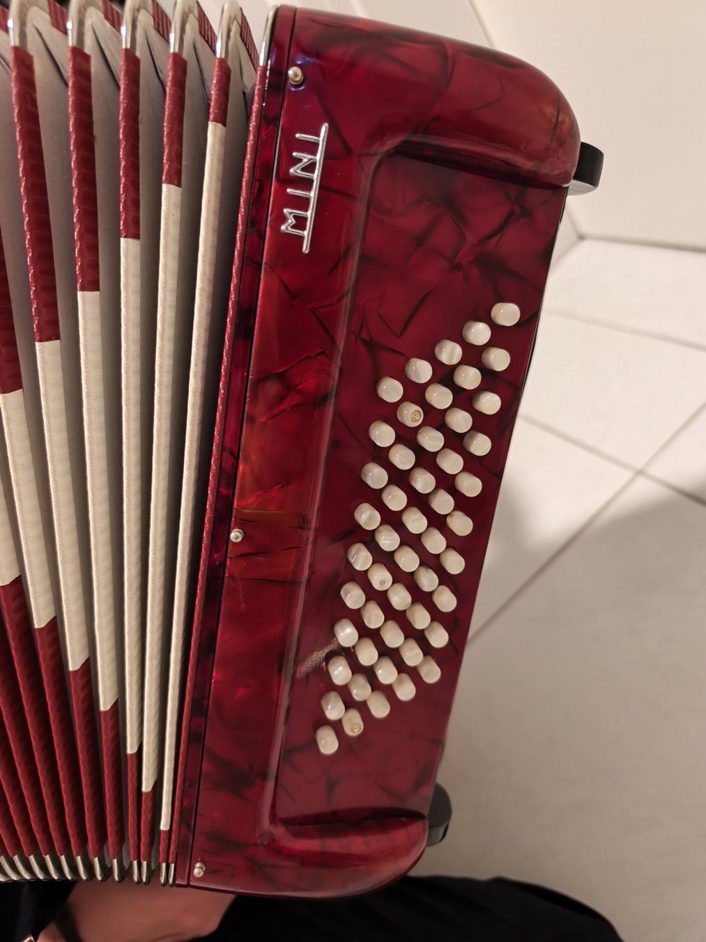 Strumenti musicali: Akkordeon chromatisch – Usato da Münchwilen TG venduto da PPELF 4