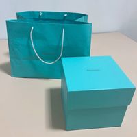 Tiffany & Co - Grosse Box und Tragtasche