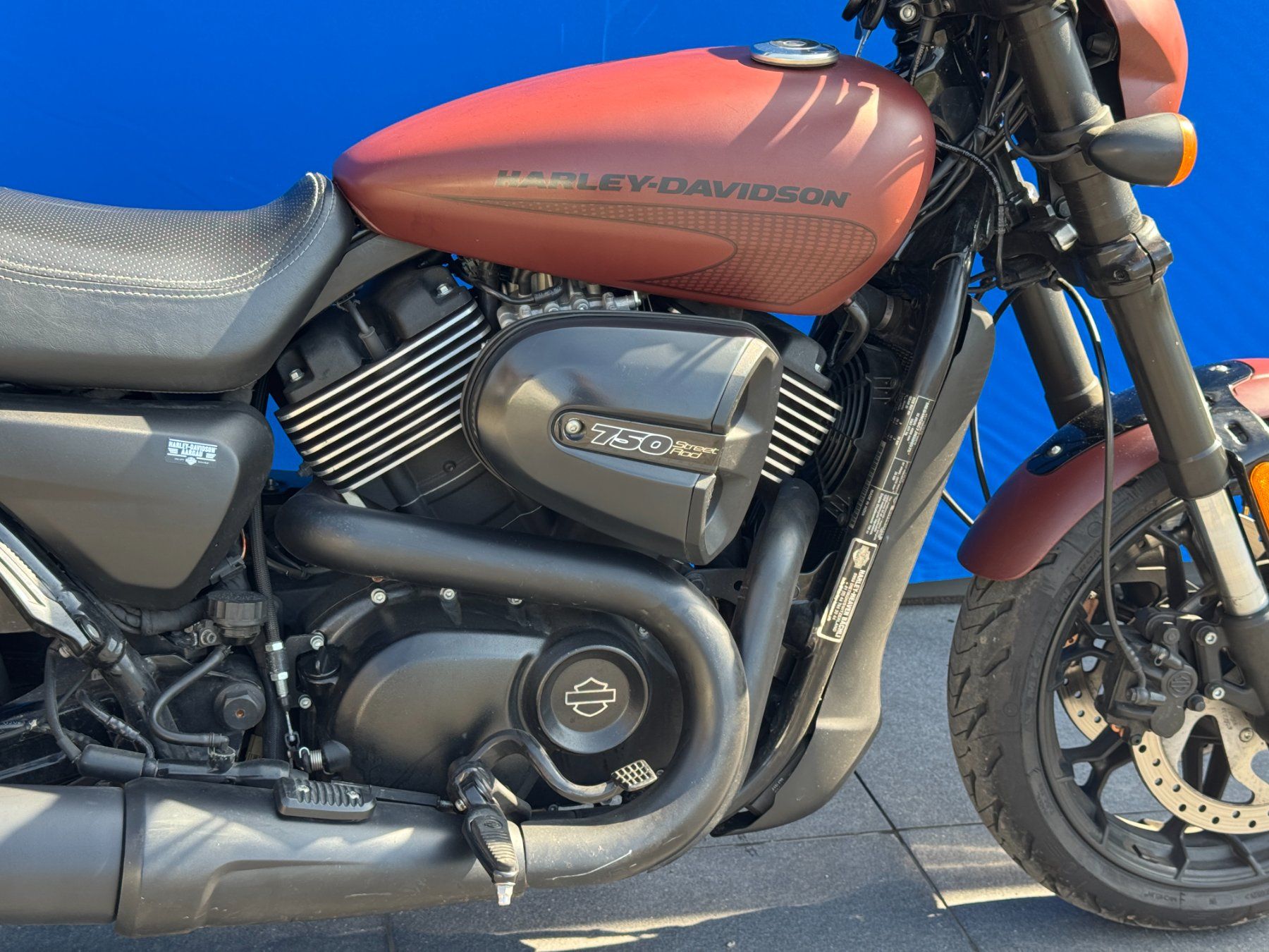 Harley-Davidson Chopper: HARLEY-DAVIDSON XG 750A Street – Gebraucht aus Escholzmatt von Wikinger11 5