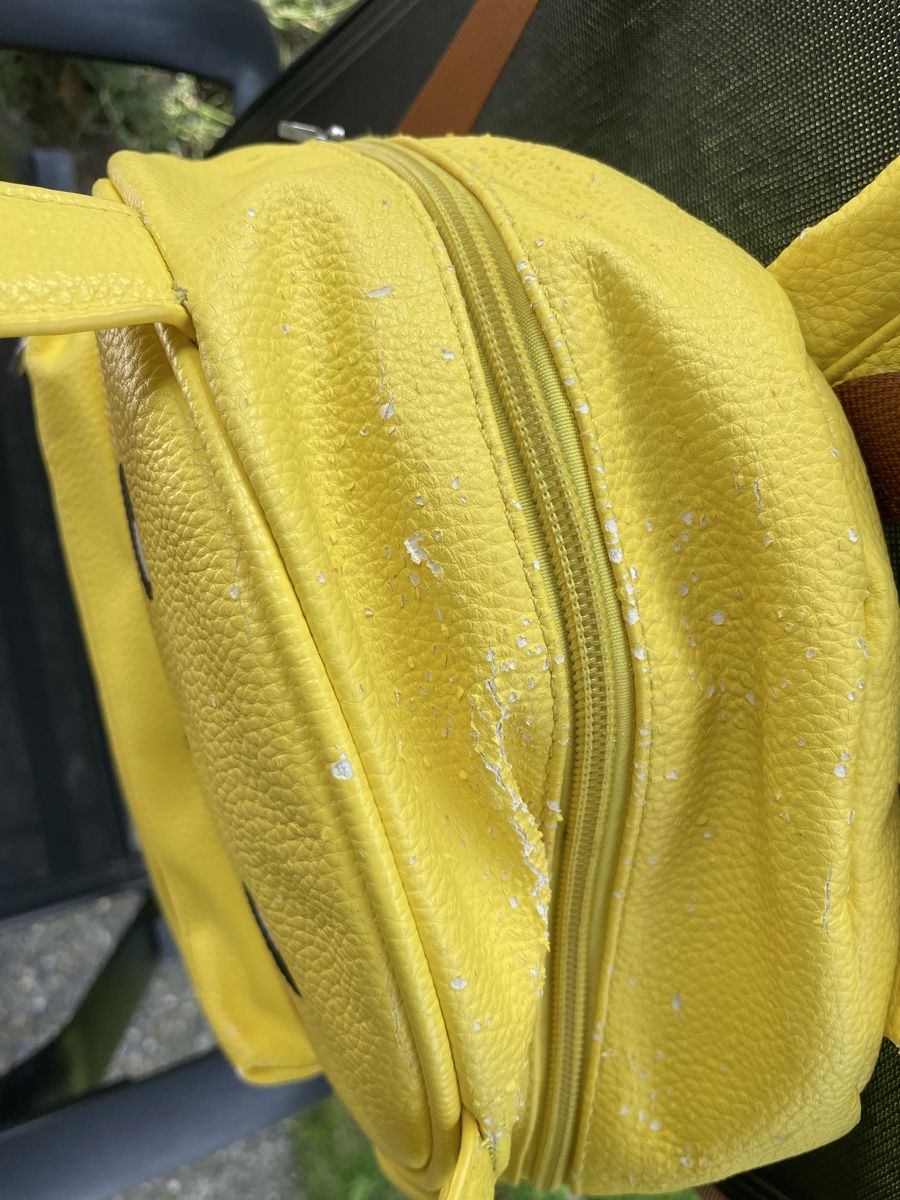 Zaini: Vintage Pikachu Rucksack, Pokémon – Usato da Winterthur venduto da cheerio97 3