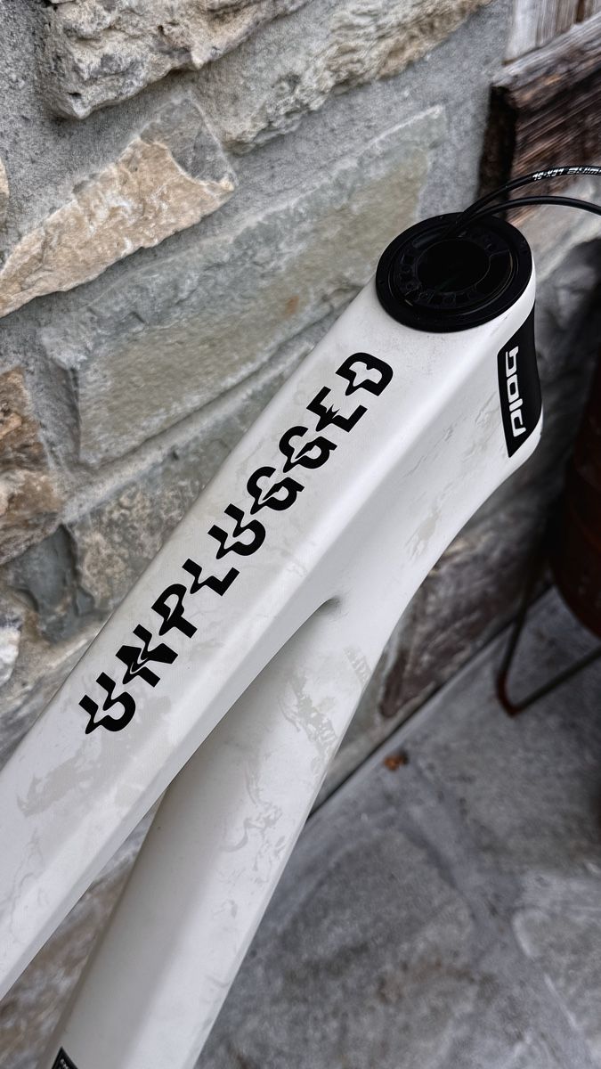 Pièces détachées: Bold Cycles Unplugged Rahmen Medium – Neuf (Voir description) à Troistorrents par lui_p5rv 1