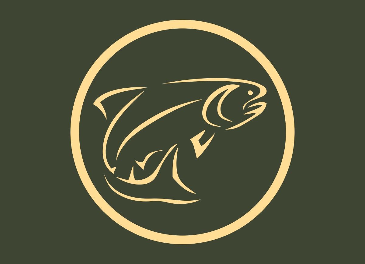 Esche: Schleppgewicht aus Edelstahl - Trolling / Schleppfischen – Nuovo e nell'imballaggio originale da Wolhusen venduto da BTB_FishingTackle 6