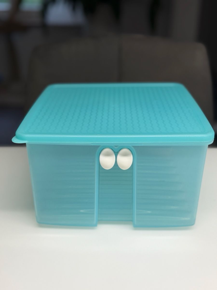 Tupperware Contenitori & Simili: Tupperware Fridgesmart mit Deckel neuwertig – Usato da Urdorf venduto da isc_r8bx