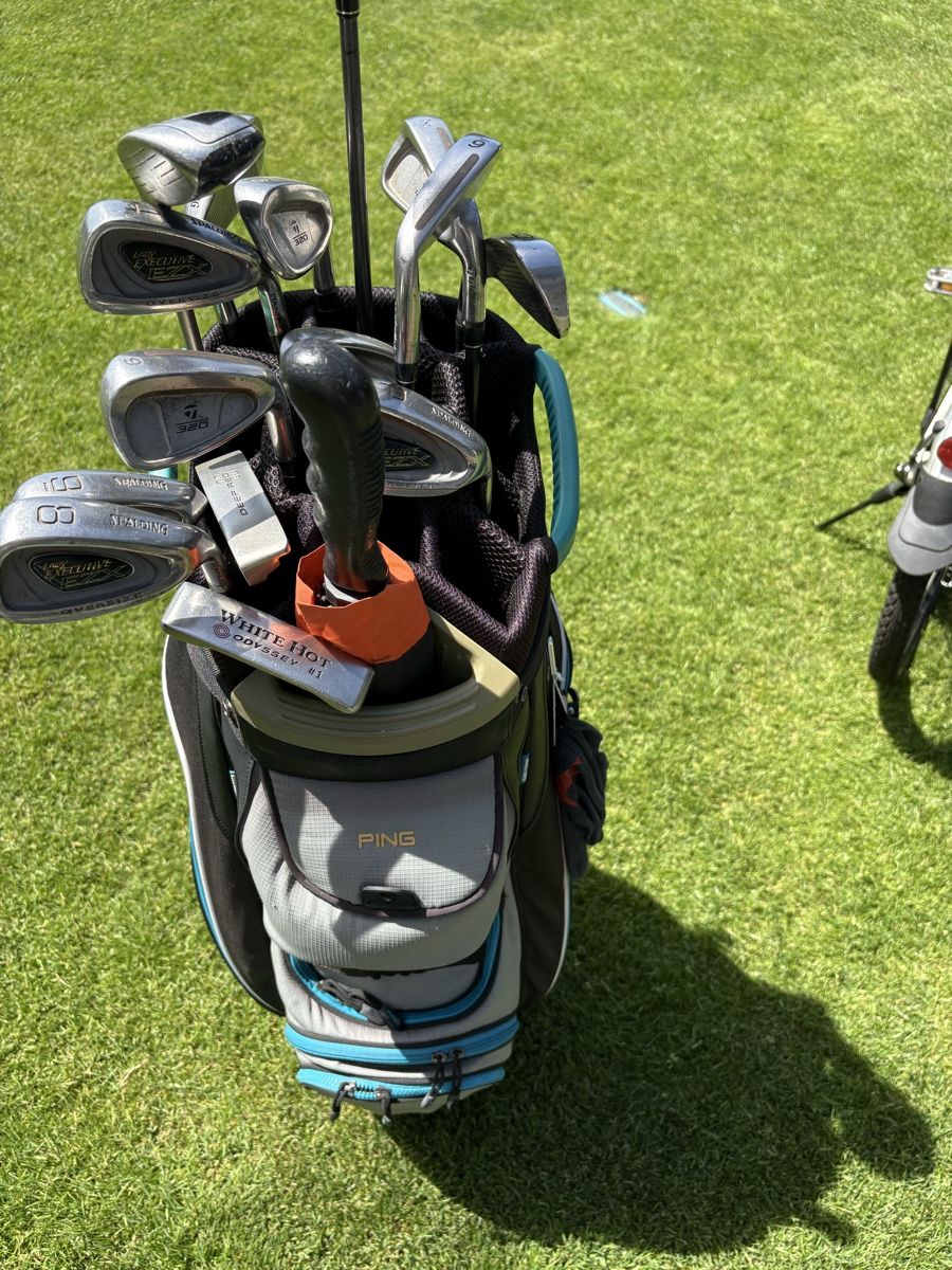 Mazze & Set: PING Golftasche mit Regenschutz und 15 Schläger – Usato da Russikon venduto da Opportunity 1