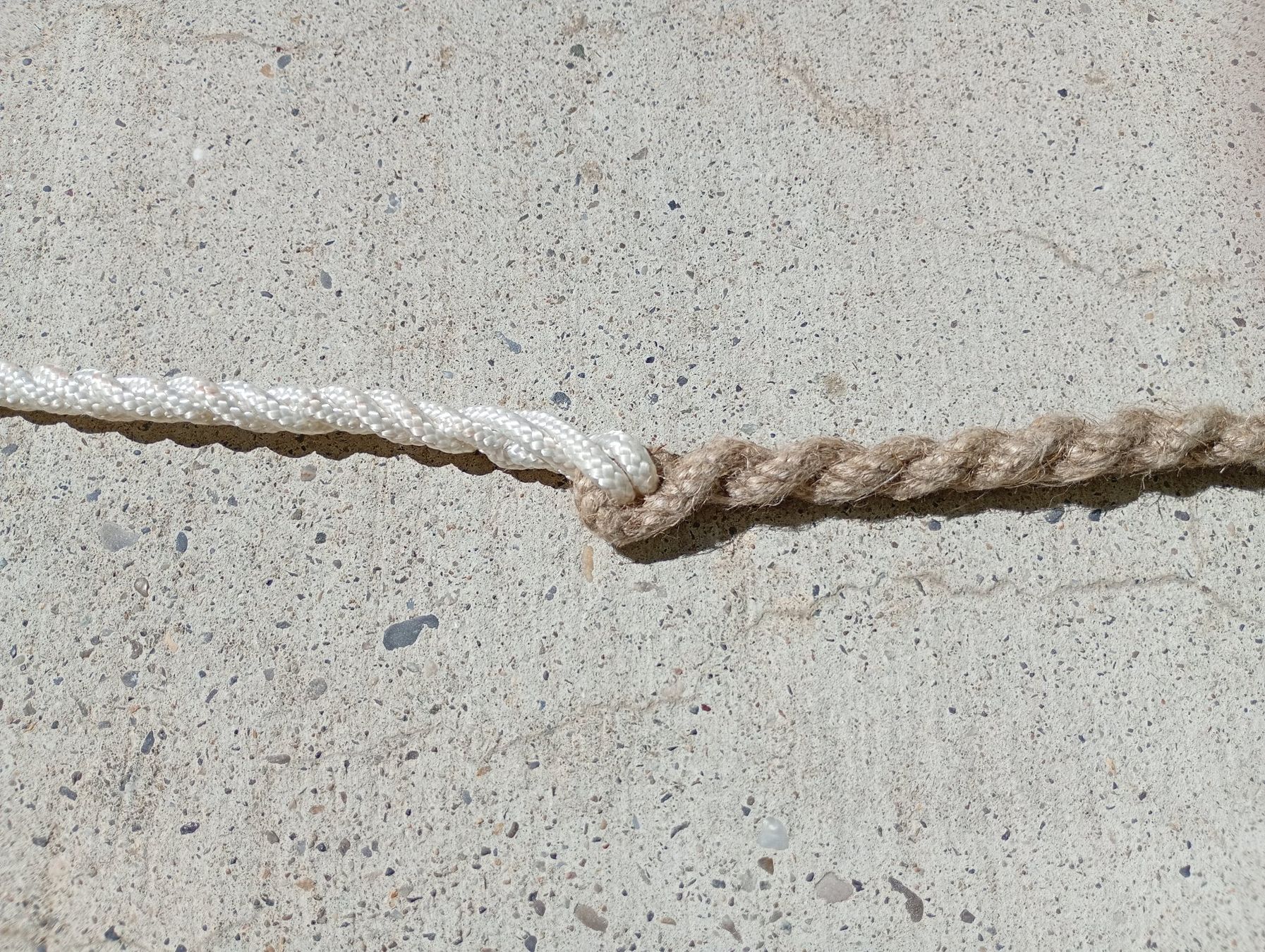 Autres accessoires pour animaux: Klausgeissel gross – Neuf (Voir description) à Möriken AG par Vellas 4