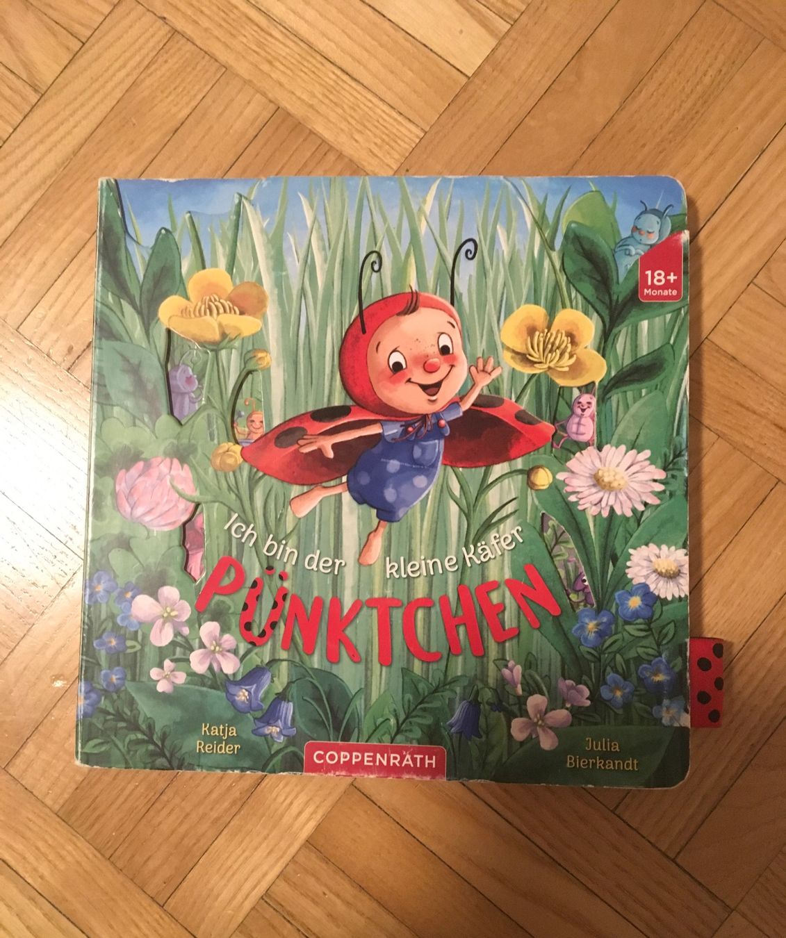 Libri: Ich bin der kleine Käfer Pünktchen – Usato da Urdorf venduto da mat_8hvl