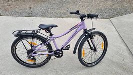 24 Zoll Mountainbike Genesis Evolution