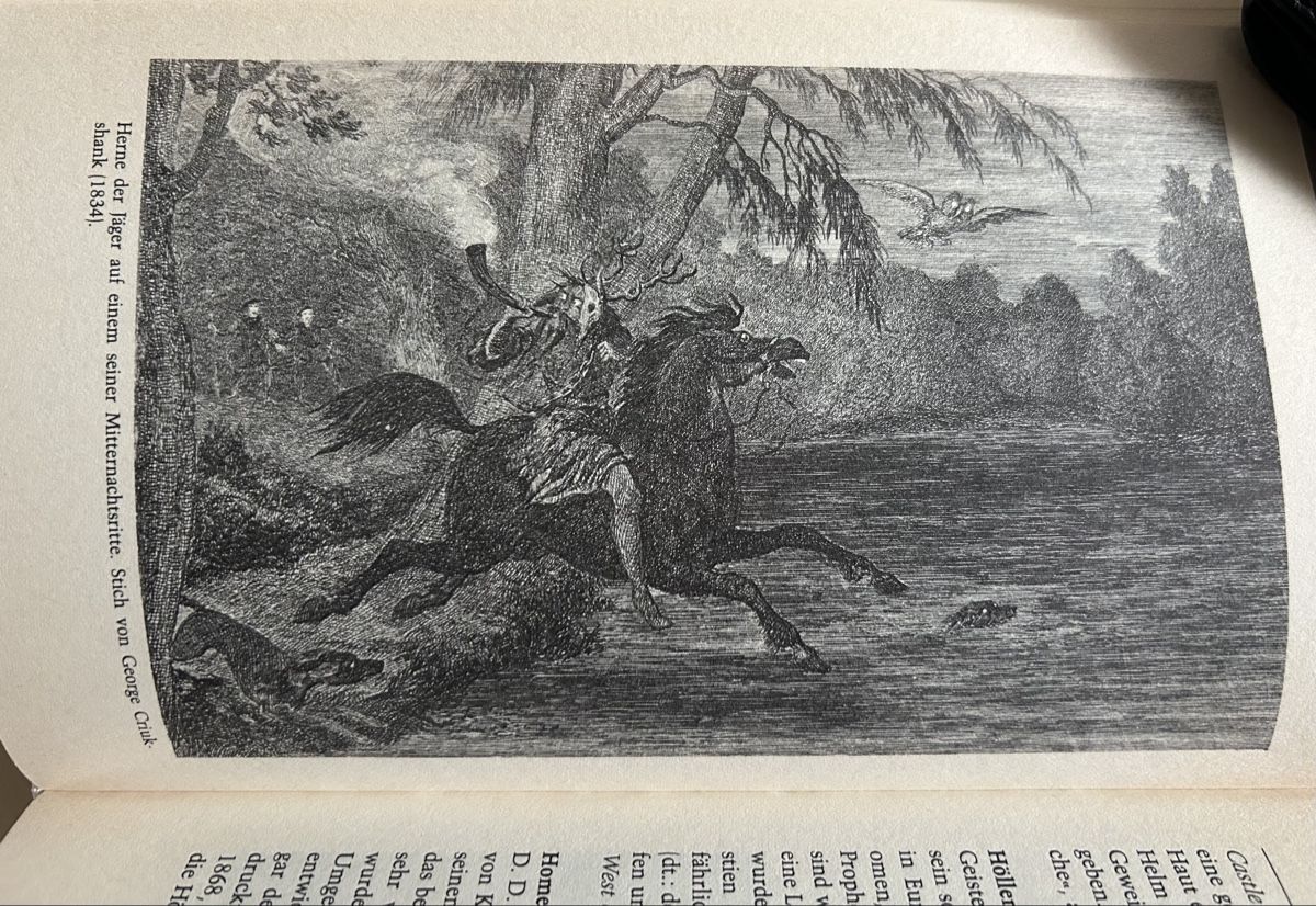 Bücher: Geister/Gespenster Lexikon – Gebraucht aus Reinach BL von Linda013 5