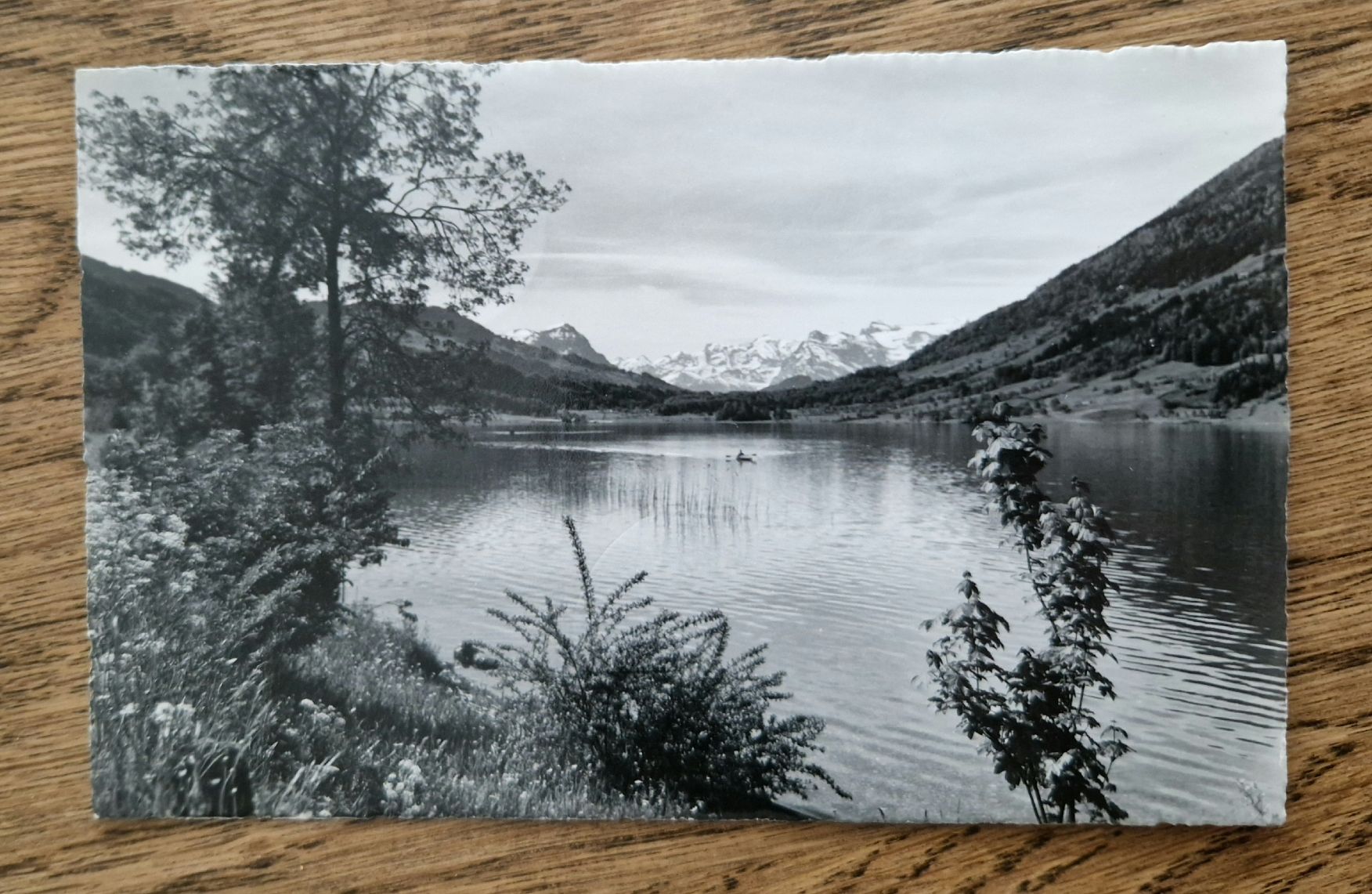 Cartoline postali: Aegerisee 1956 – Usato da Ebikon venduto da Donar50