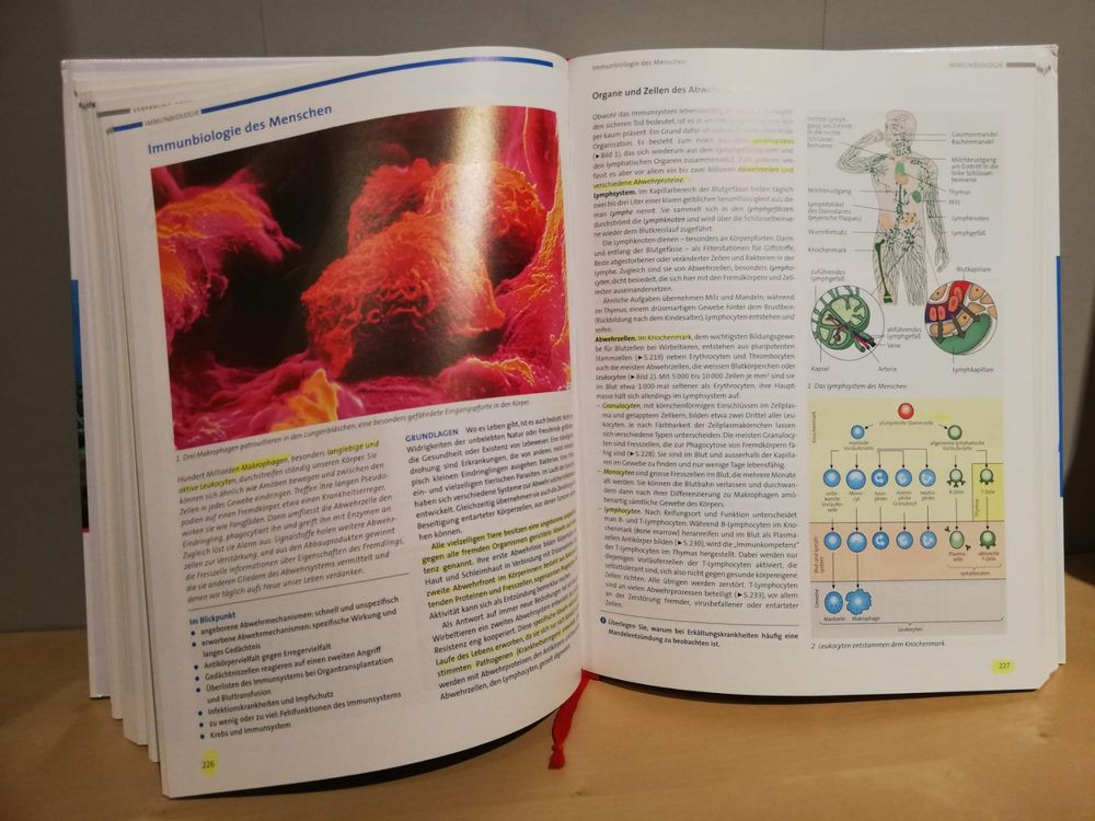 Biologie Sekundarstufe 2 Gesamtband Schweiz; Cornelsen | Kaufen Auf Ricardo