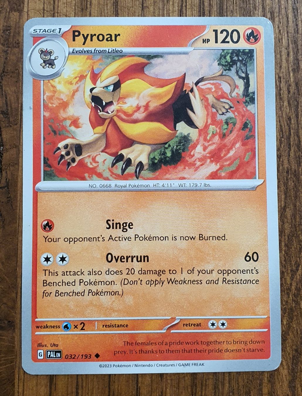 Pokémon Carte collezionabili: Pokémon Karten – Nuovo (secondo la descrizione) da Basel venduto da Tiger_bs 2