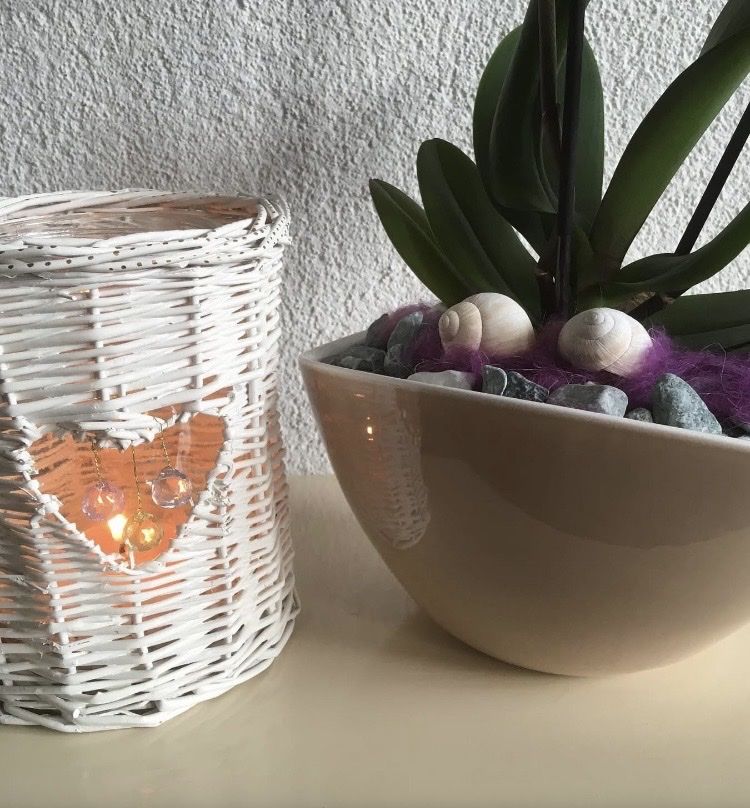 Tutte le decorazioni: Windlicht – Usato da Selzach venduto da SB09 2