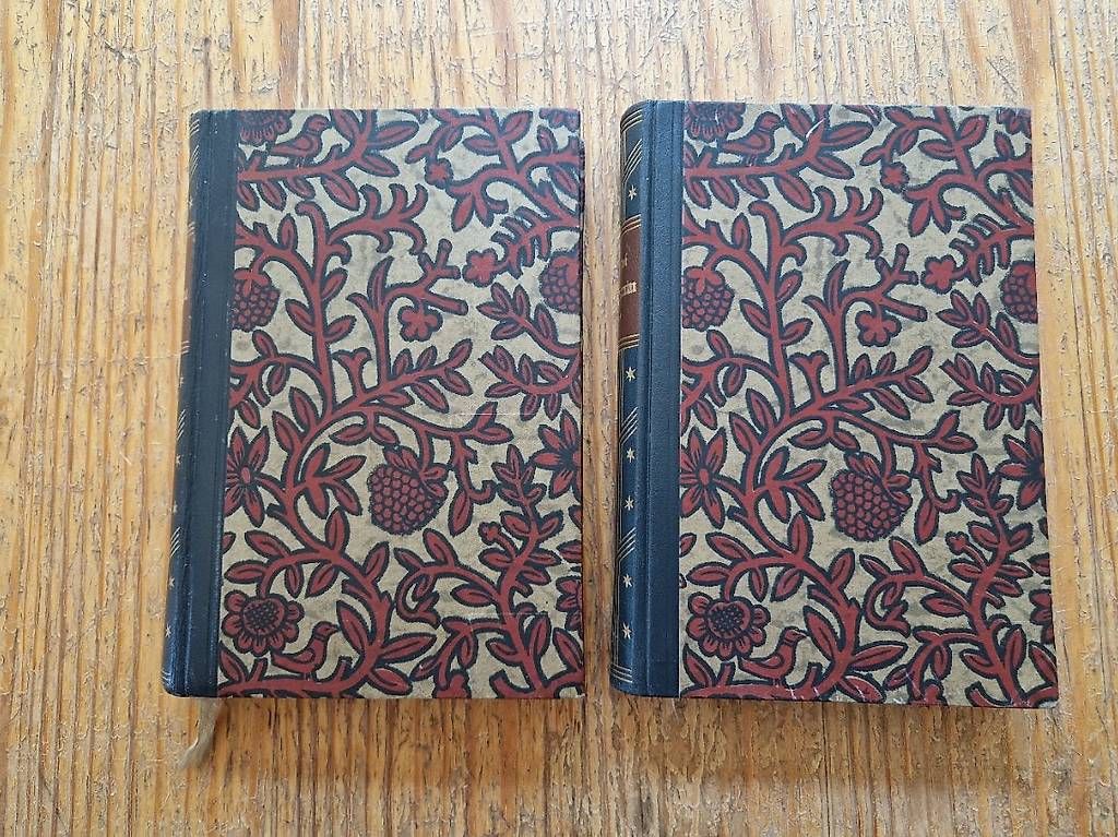 Libri: Anna Karenina - Leo Tolstoi – Usato da Frick venduto da Connect9