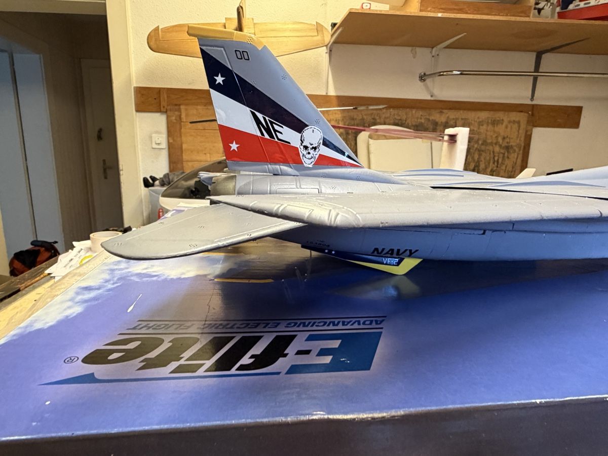 E-Flite Modellismo RC: F14 E-flight – Difettoso da Chêne-Bougeries venduto da Varioskyfox1982 7