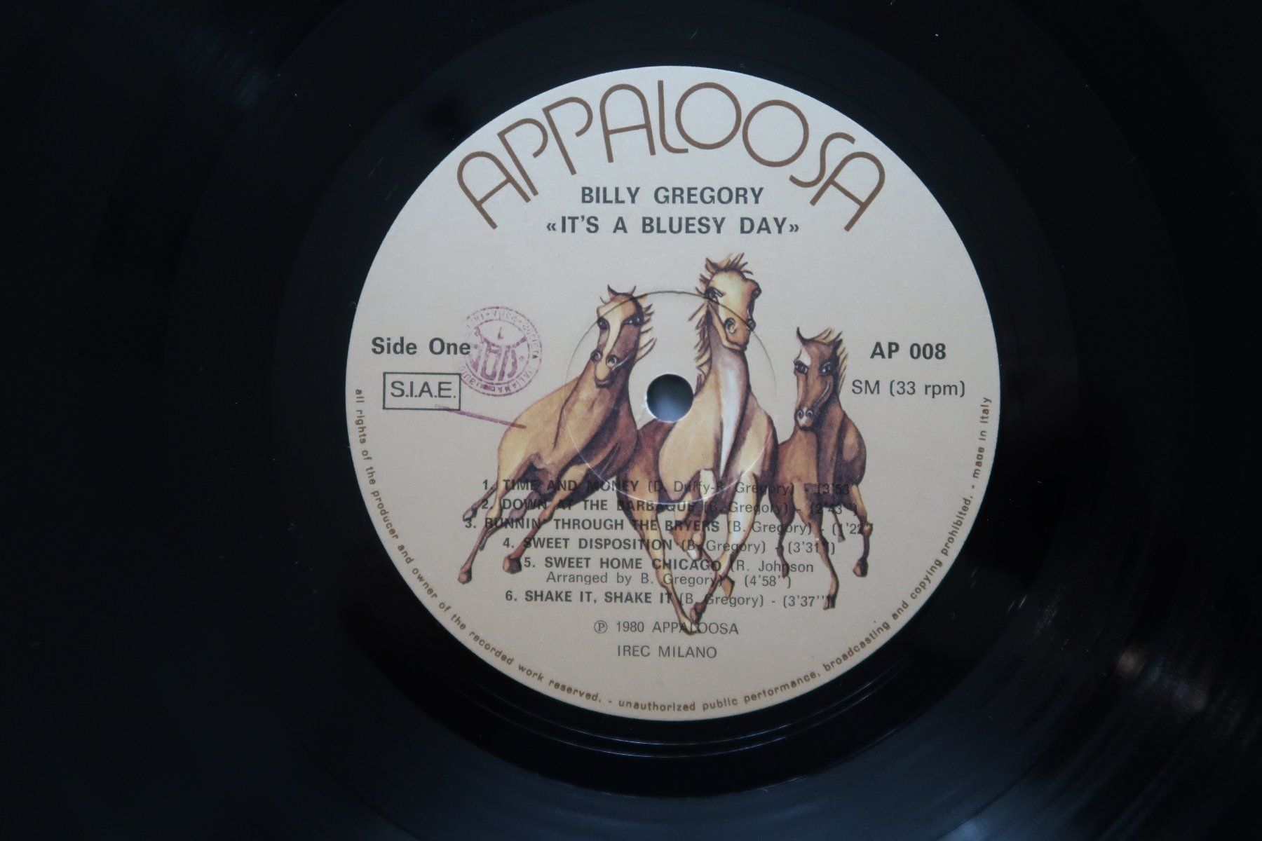 Dischi in vinile: BILLY GREGORY - IT'S A BLUESY DAY - VINYL LP – Usato da Basel venduto da Patiscat 2