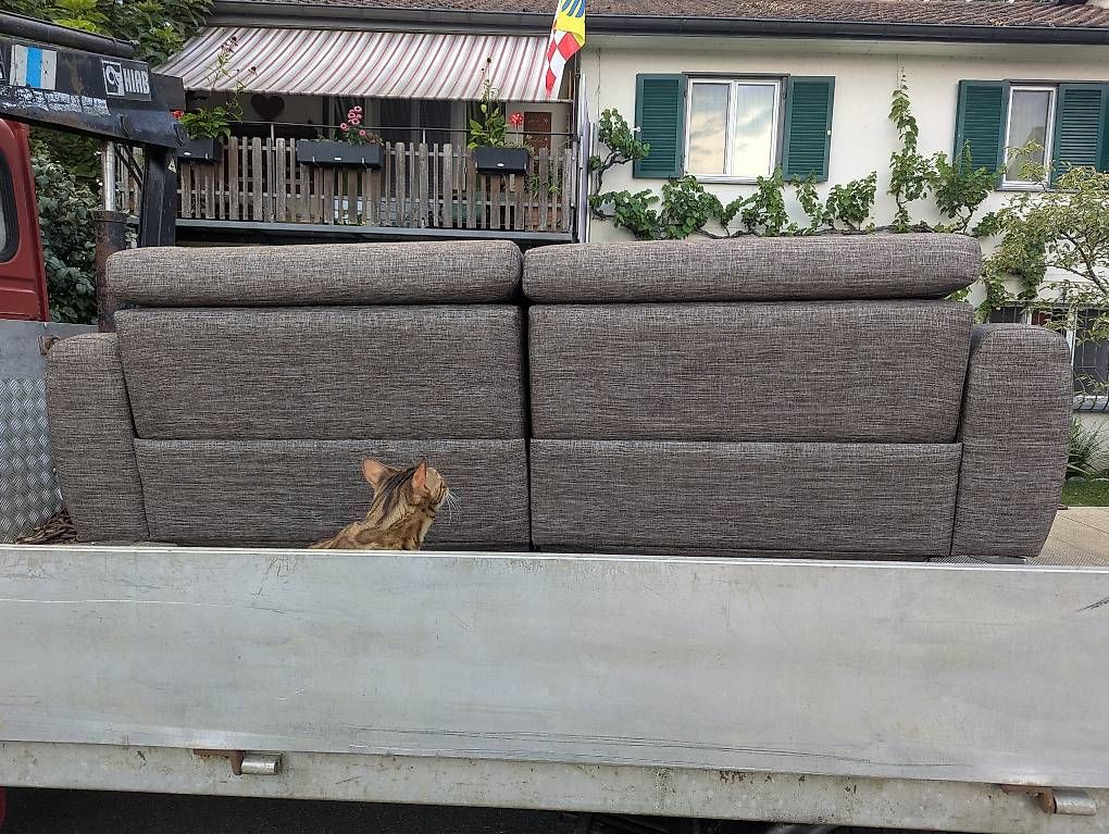 Sofas: Sofa mit elektrischer Verstellung – D'occasion à Hettlingen par Tschusle93 2